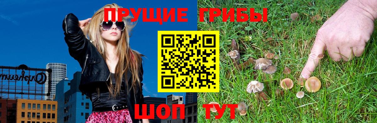 Галлюциногенные грибы мухоморы Малоярославец