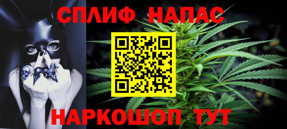 Бошки Шишки ГИДРОПОН Малоярославец